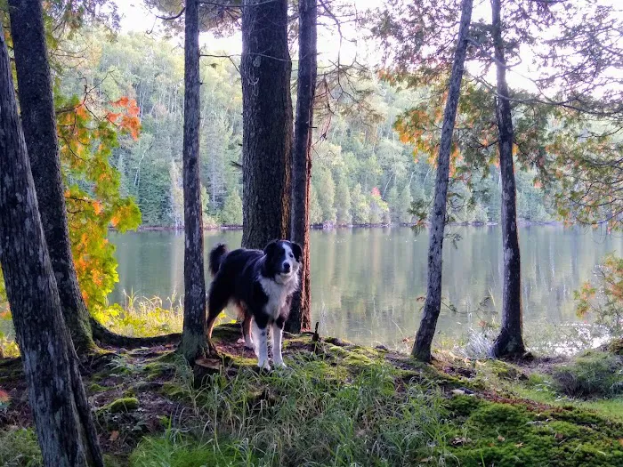 Hogback Lake Rustic Campground & Backcountry Sites Picture 7