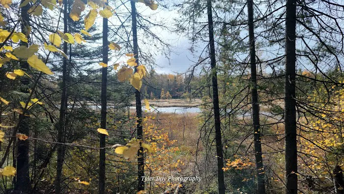 Hogback Lake Rustic Campground & Backcountry Sites Picture 6