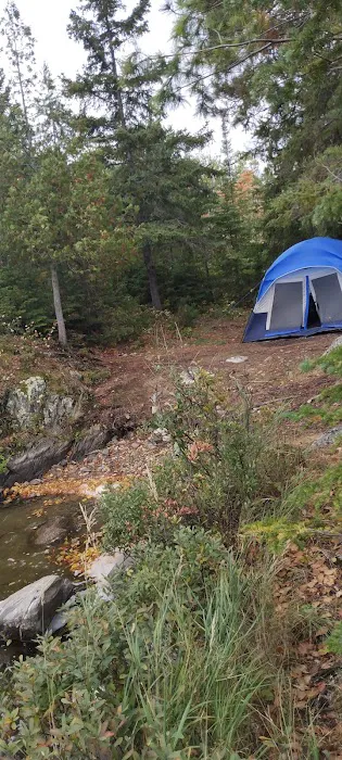 Hinsdale Island Campsite 11 Picture 2