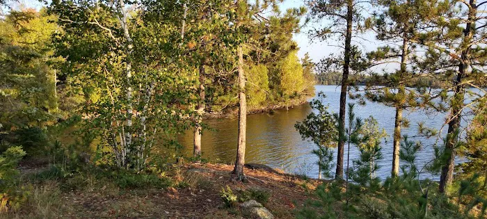 Hinsdale Island Campsite 11 Picture 3