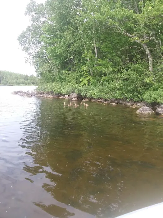 Wakemup Bay Campground Picture 10