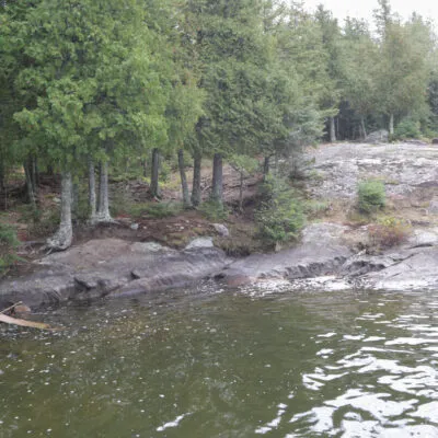 Bystrom Bay Campsite USFS Picture 3