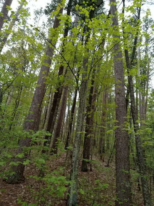 Side Lake Campground Picture 7
