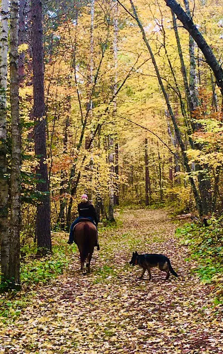 Stony Brook Horse Campground Picture 1