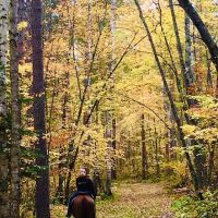 Stony Brook Horse Campground ico
