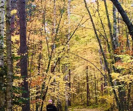 Stony Brook Horse Campground