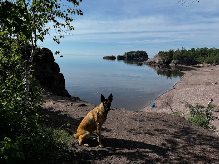Black Beach Municipal Campground Picture 3
