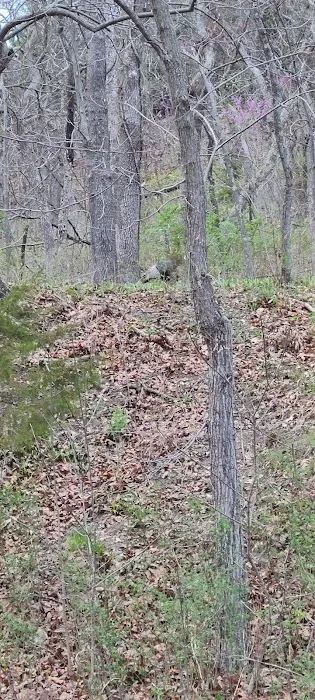 Shawnee Mission Park Campsite & Youth Camp 2 Picture 6