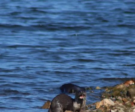 Ruark Bluff East Side Campgrounds camp site B-6