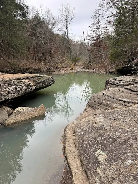 WHISKEY SPRINGS CAMP Picture 1