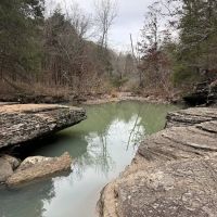 WHISKEY SPRINGS CAMP ico