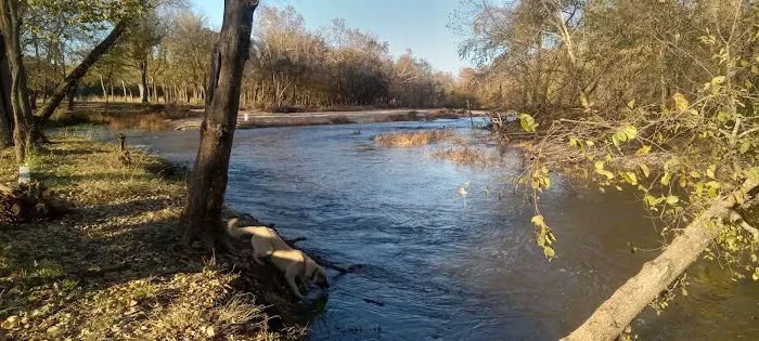 Shady Rest On Flint Creek Picture 2