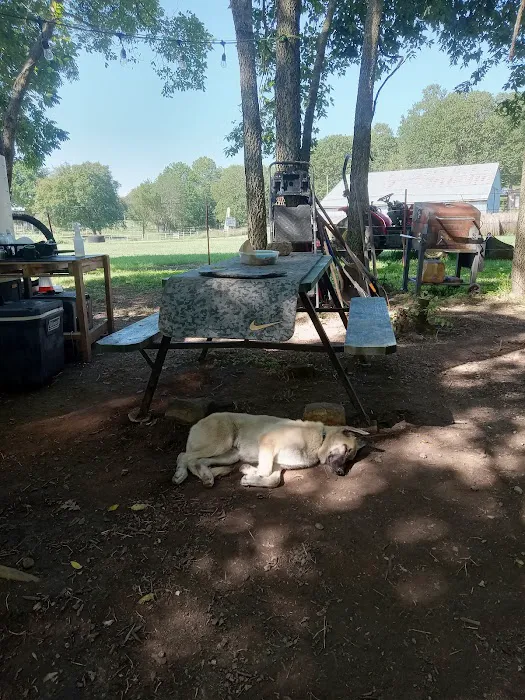 Shady Rest On Flint Creek Picture 5