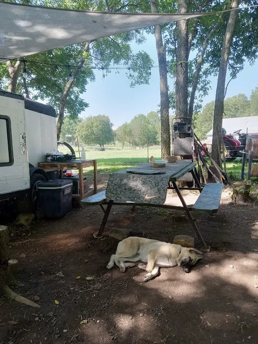Shady Rest On Flint Creek Picture 4