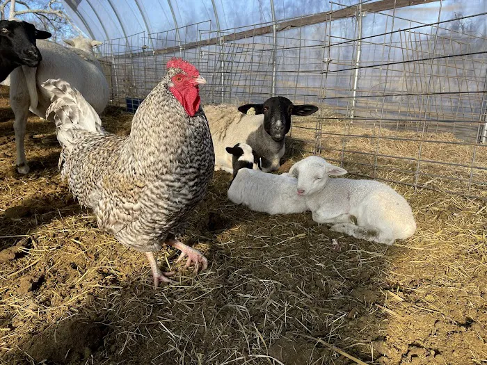 Bigfoot County Campgrounds Picture 3