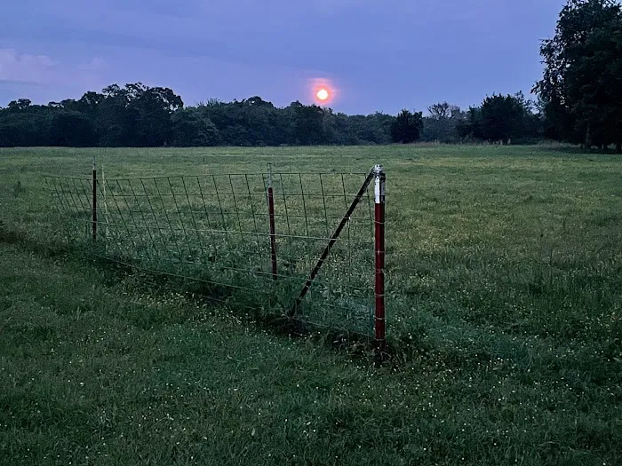 Bigfoot County Campgrounds Picture 1