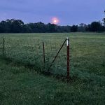 Bigfoot County Campgrounds