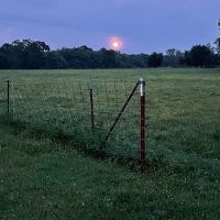 Bigfoot County Campgrounds ico