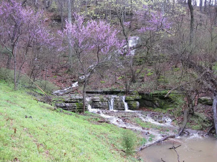 The Greene's Campground & R.V. Park Picture 8