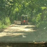 Ponderosa Trails ico