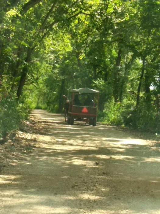 Ponderosa Trails Picture 3