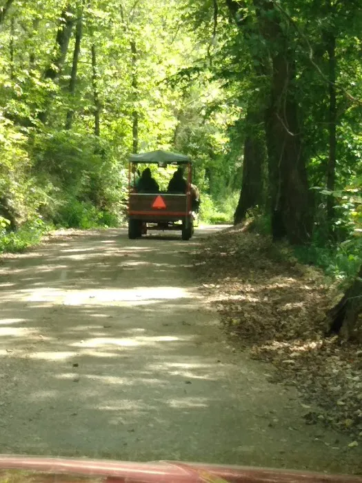 Ponderosa Trails Picture 4