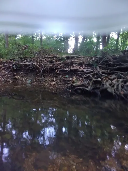 Creekside 1 Campground Picture 9