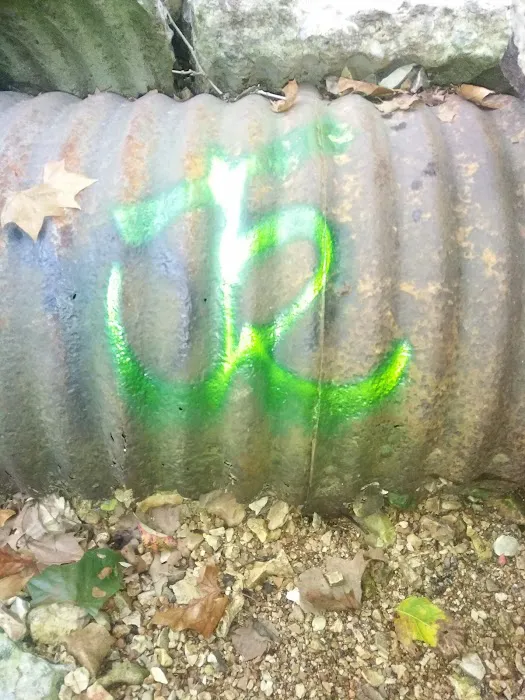 Creekside 1 Campground Picture 8