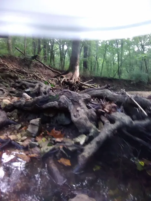 Creekside 1 Campground Picture 7