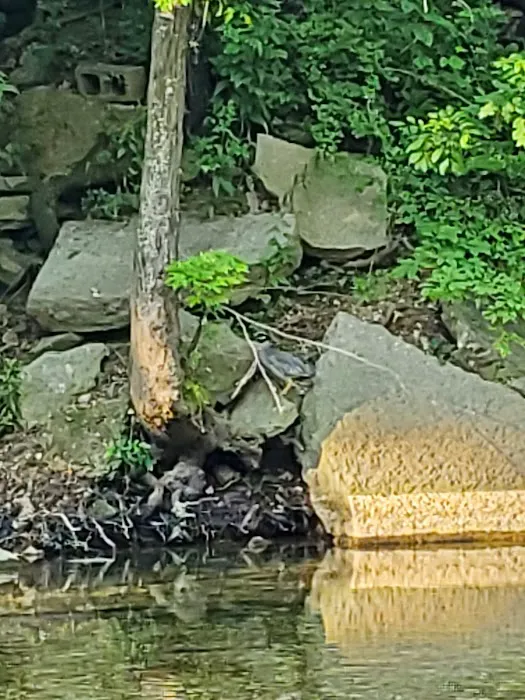 Creekside Campground 1 Picture 2