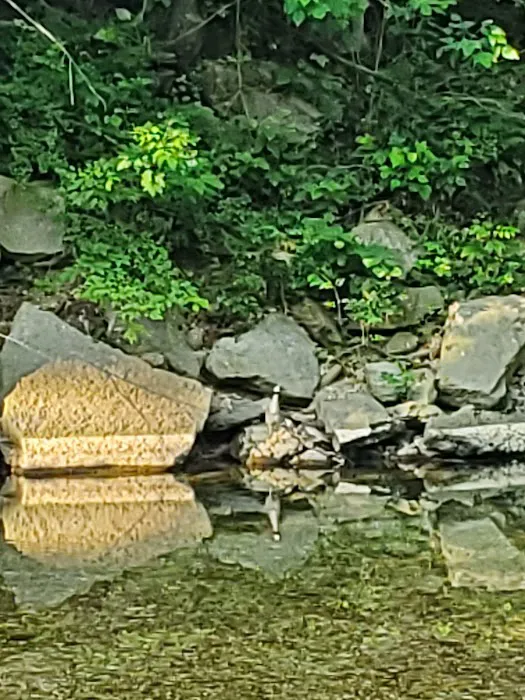 Creekside Campground 1 Picture 5