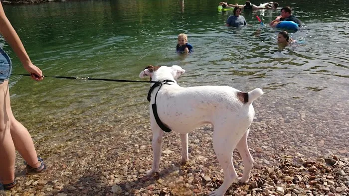 Creekside Campground 1 Picture 8