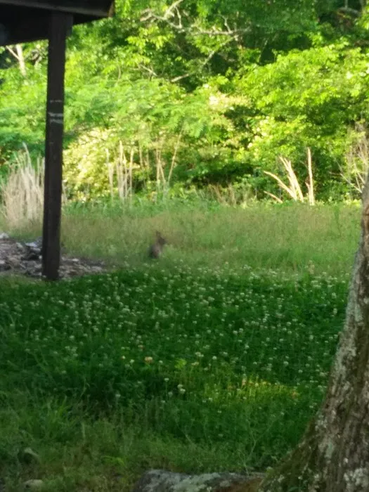 Camp High Point--Conifer Area Properties Picture 3