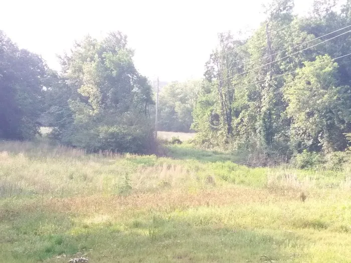 Camp High Point--Conifer Area Properties Picture 2