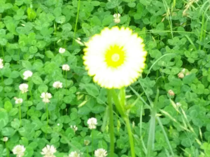 Camp High Point--Conifer Area Properties Picture 5