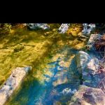 Coyote Canyon Campgrounds