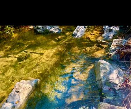 Coyote Canyon Campgrounds