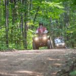 Screaming Eagle Cabins