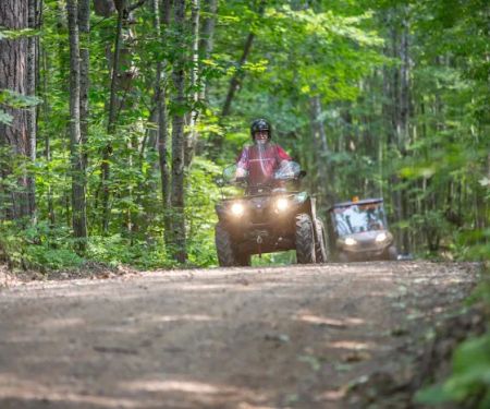 Screaming Eagle Cabins