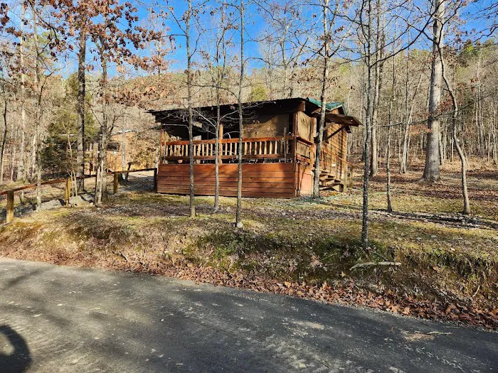 Screaming Eagle Cabins Picture 4