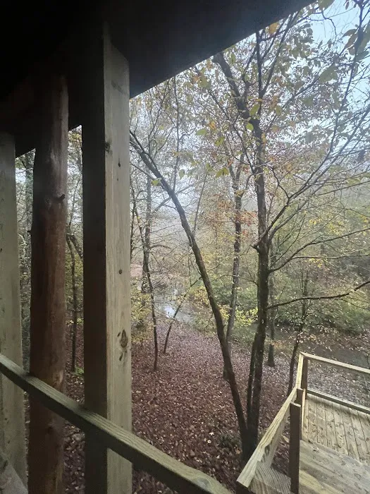 Macks Creek Cabins Picture 3