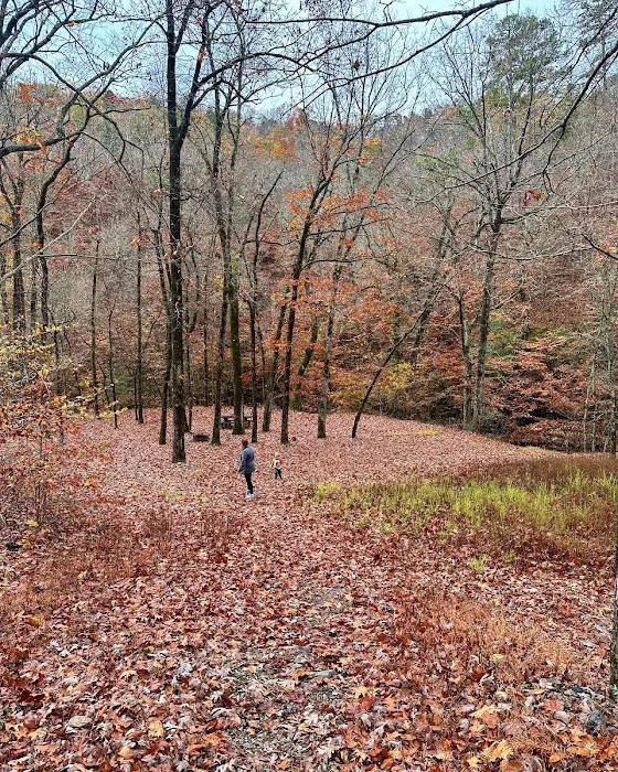 Bard Springs Picture 3