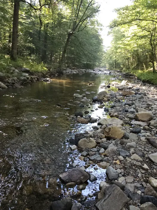Bard Springs Picture 4