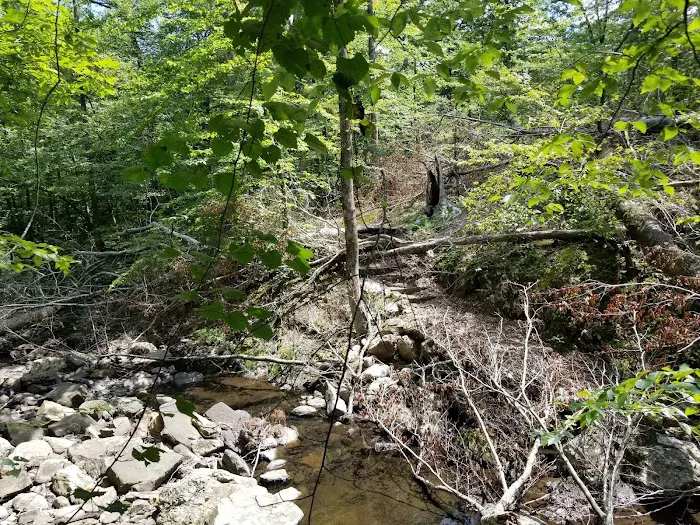 Bard Springs Picture 6