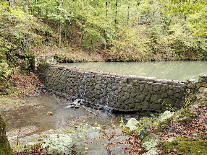 Bard Springs Picture 8