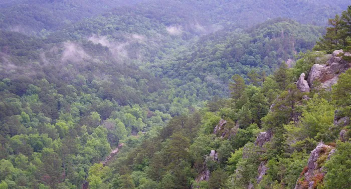 Bard Springs Picture 5