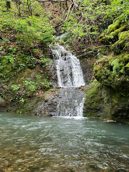 Bard Springs Picture 10