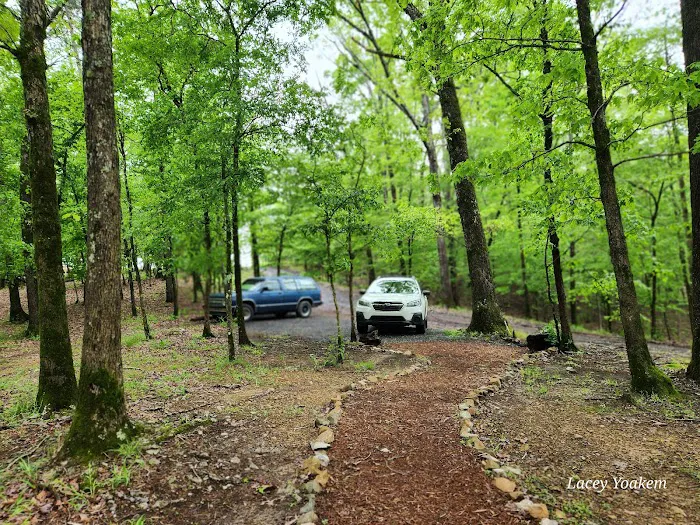 Ouachita Wilde Luxury Tents Picture 5
