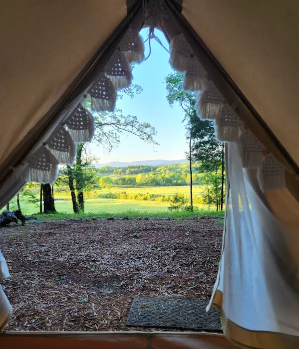Ouachita Wilde Luxury Tents Picture 2
