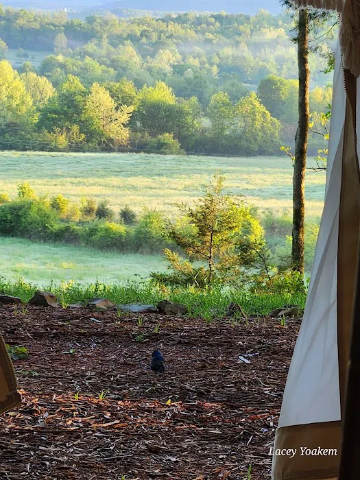 Ouachita Wilde Luxury Tents Picture 8